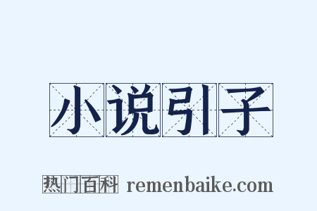 小说引子是什么意思的图片